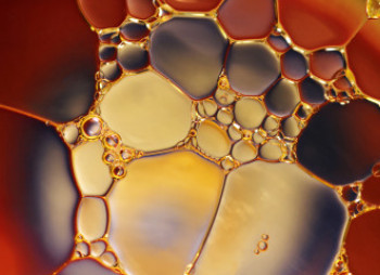 bubbles-chemistry-close-up-220989